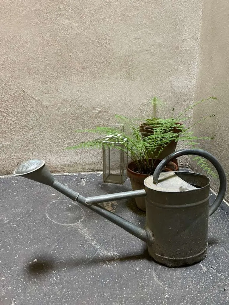Zink-Blech-Gießkanne (Rarität), € 39,- (1060 Wien)
