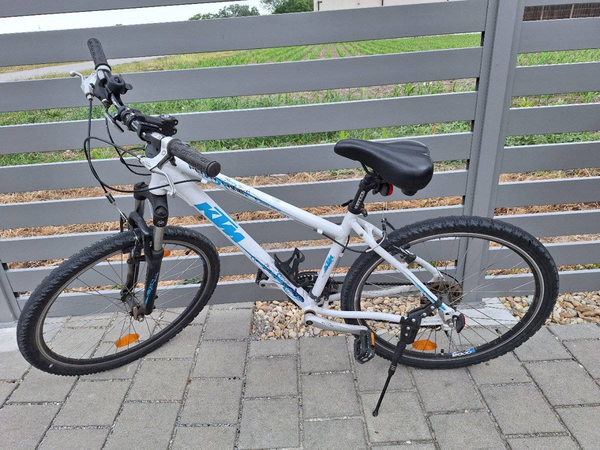 Mountainbike Damen kaufen - willhaben
