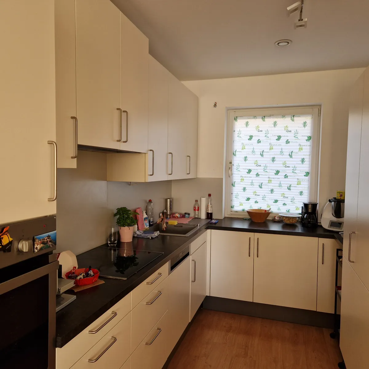 Haus – Wieselburg, Schacha, Katastralgemeinde Wieselburg - Ansicht 3