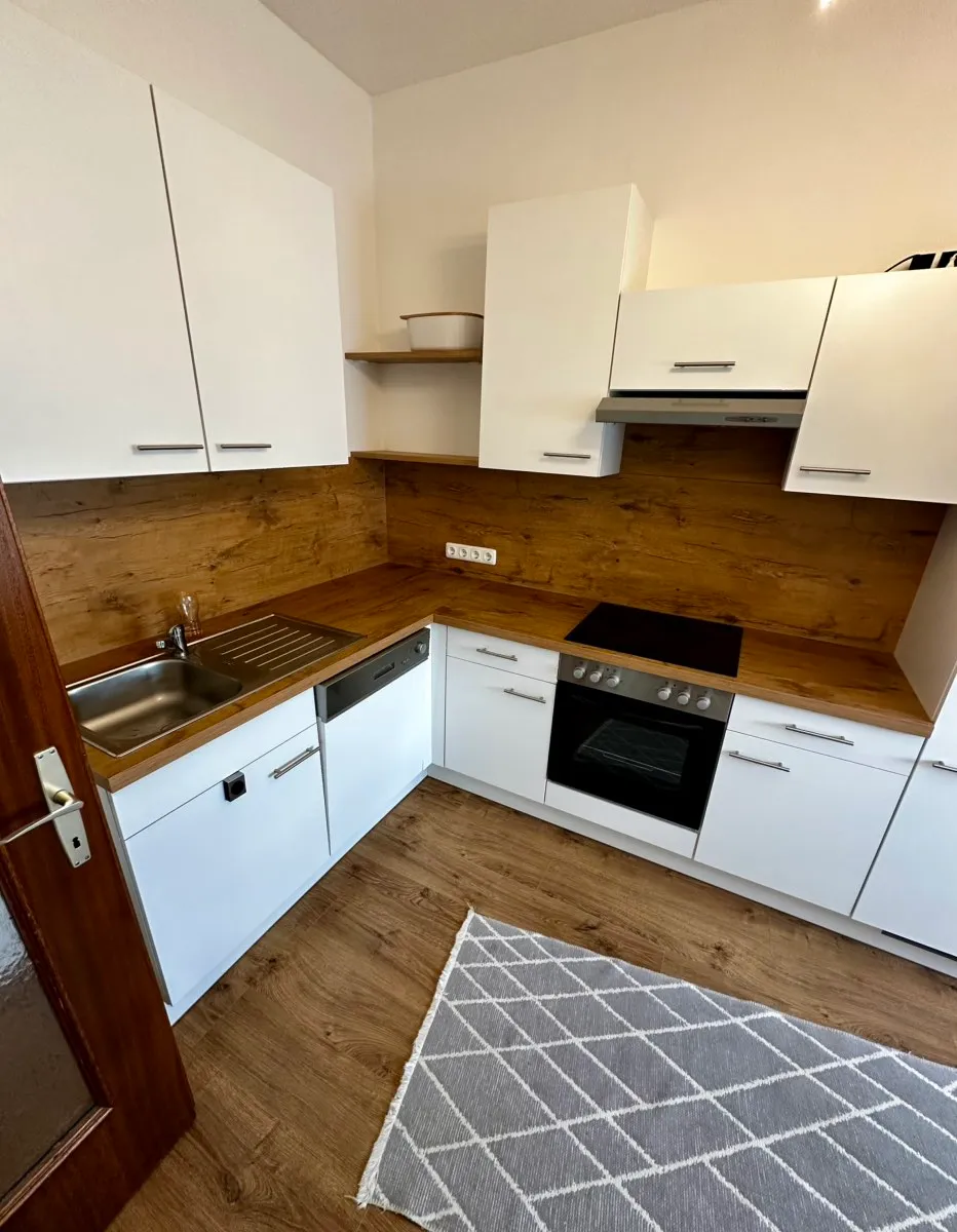 Helle 2-Zimmer Wohnung möbliert mit Garage - Ansicht 3