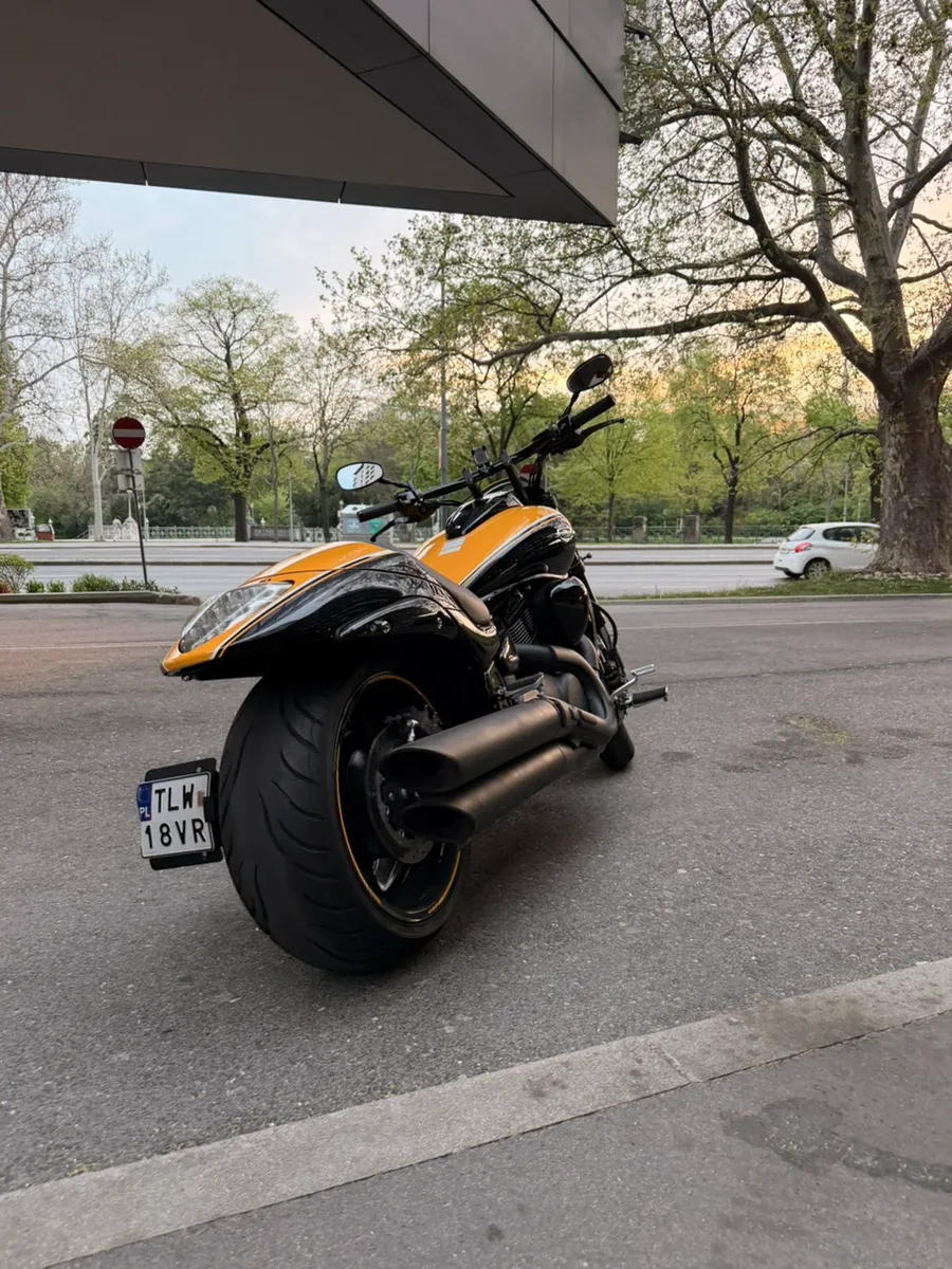 Suzuki Intruder