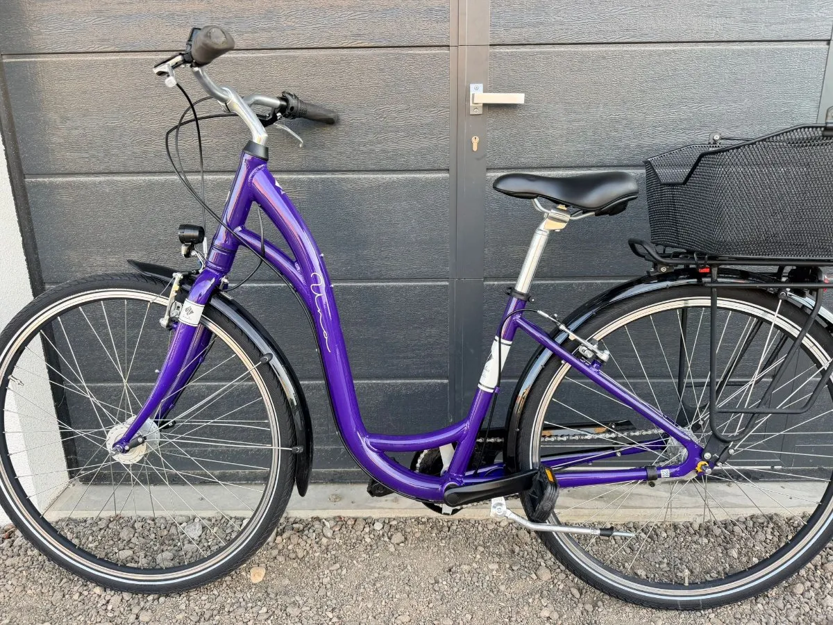 fahrrad pedale kombi Exustar E-PM827 Kombi-Pedal aus Aluminium, MTB+BMX Duo-Pedal, austauschbare Pins, CrMo-Achse, SPD-kompatibel, klickpedal, SPD-Pedal, 397 g Sport & Freizeit RH:bis 40cm Größe:S (53-56 cm) Scott Strike eRIDE 920