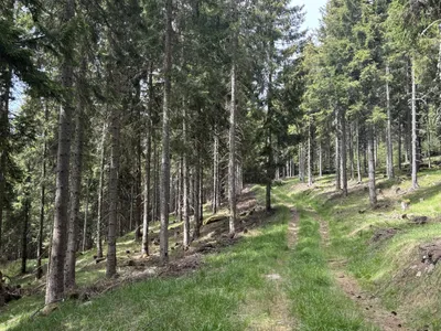 Grundstück kaufen in Feldkirchen – 100 000 m² – Bild 6 von 6