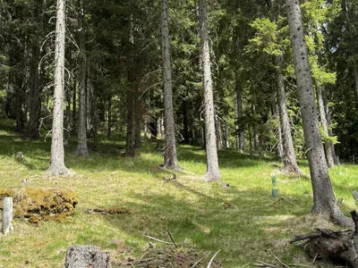 Grundstück kaufen in Feldkirchen – 100 000 m² – Bild 3 von 6