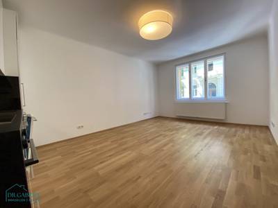 GENERALSANIERTE 3-ZIMMER-WOHNUNG - HOCHPARTERRE