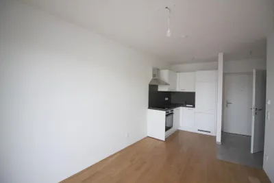 1-Zimmer-Wohnung mieten in Graz – 31 m², € 600 – Bild 2 von 7