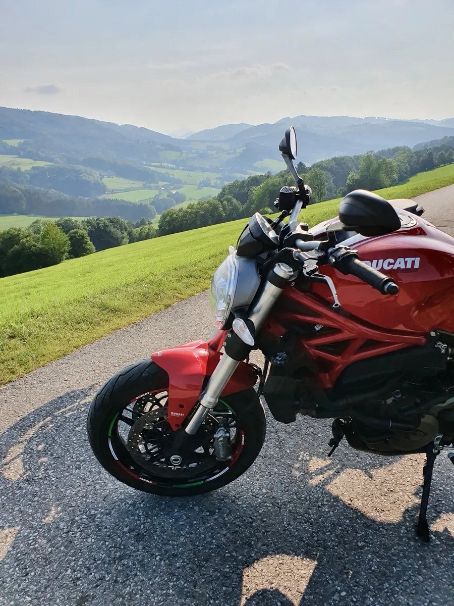 Ducati Monster