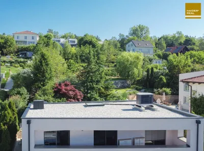 4-Zimmer-Haus mieten in Tulln – 135 m², € 2.998 – Bild 5 von 29