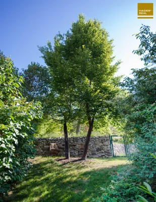 4-Zimmer-Haus mieten in Tulln – 135 m², € 2.998 – Bild 26 von 29