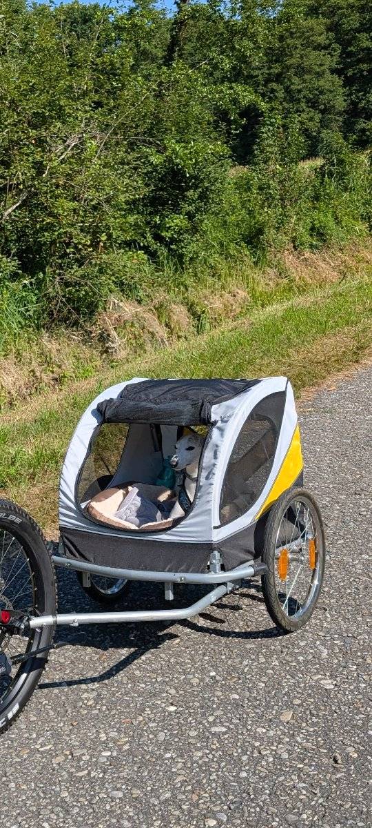fahrradanhnger croozer gebraucht Hundeanhnger Croozer