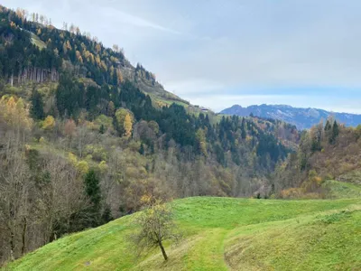 2-Zimmer-Wohnung mieten in Sankt Johann im Pongau – 50 m², € 780 – Bild 13 von 14