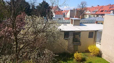 4-Zimmer-Gewerbeimmobilie mieten in Graz – 100 m², € 290 – Bild 19 von 22