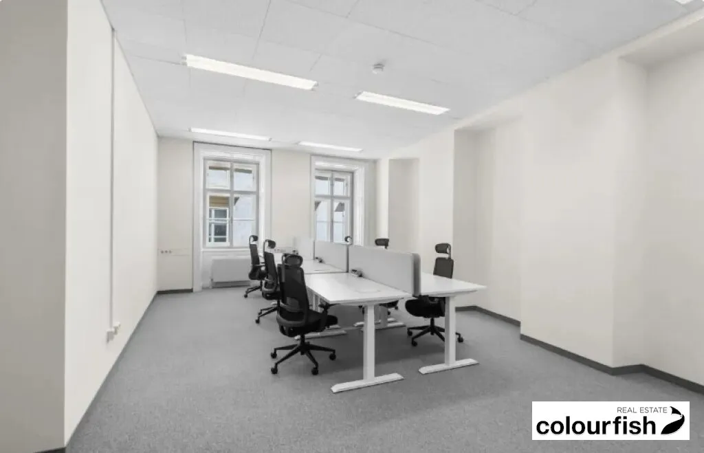 Exklusive Büroflächen und Co-Working im 1.Bezirk - Ansicht 3