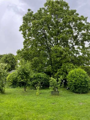 3-Zimmer-Wohnung mieten in Wolfsberg – 70 m², € 630 – Bild 32 von 43