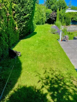 6-Zimmer-Haus kaufen in Mödling – 315 m², € 1.400.000 – Bild 4 von 53