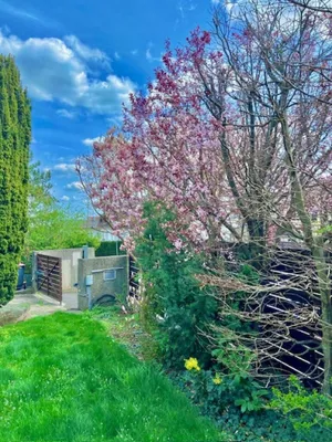 6-Zimmer-Haus kaufen in Mödling – 315 m², € 1.400.000 – Bild 40 von 53