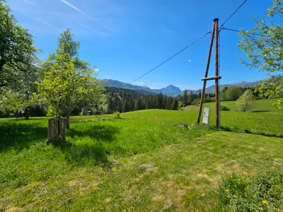 6-Zimmer-Immobilie mieten in Hallein – 140 m², € 1.300 – Bild 5 von 26