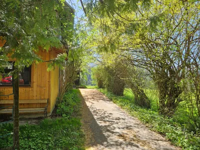 6-Zimmer-Immobilie mieten in Hallein – 140 m², € 1.300 – Bild 8 von 26