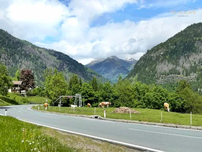 Wohnung kaufen in Spittal an der Drau – 51 m², € 110.000 – Bild 10 von 15