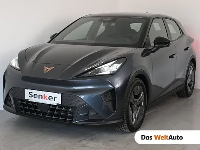 Cupra Raval ENDURANCE 52/55 155kW/210 PS
