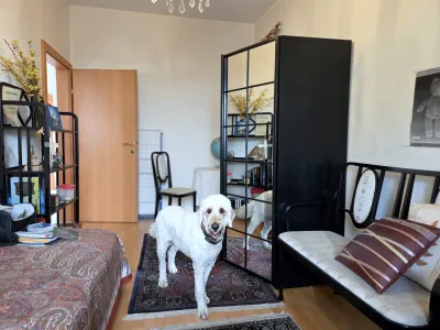 4-Zimmer-Wohnung kaufen in Innsbruck – 104,08 m², € 925.000 – Bild 7 von 22