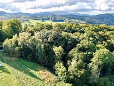 Grundstück kaufen in Sankt Pölten Land – 907 m², € 185.000