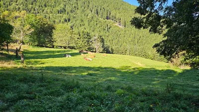2-Zimmer-Wohnung kaufen in Spittal an der Drau – 24 m², € 98.000 – Bild 13 von 14