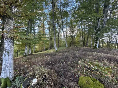 Grundstück kaufen in Sankt Veit an der Glan – 31 000 m², € 195.000 – Bild 3 von 5