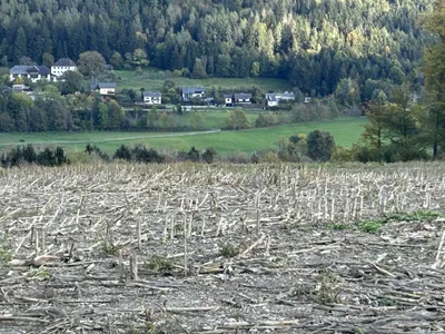 Grundstück kaufen in Sankt Veit an der Glan – 31 000 m², € 195.000 – Bild 2 von 5