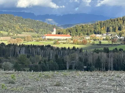 Grundstück kaufen in Sankt Veit an der Glan – 31 000 m², € 195.000