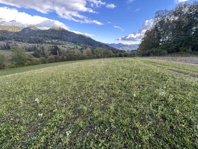 Grundstück kaufen in Sankt Veit an der Glan – 31 000 m², € 195.000 – Bild 4 von 5