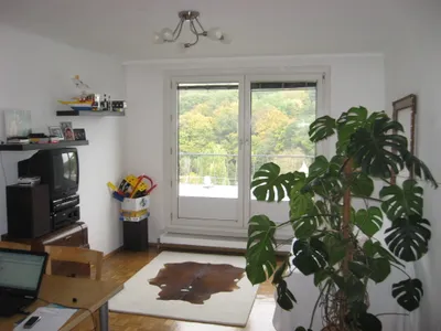 Wienblick in Grünruhelage mit kleinem Garten, Promenadegasse Dornbach – Bild 3