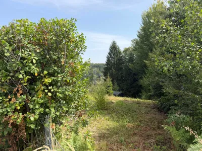 Grundstück kaufen in Graz-Umgebung – 1 550 m², € 251.100 – Bild 3 von 5