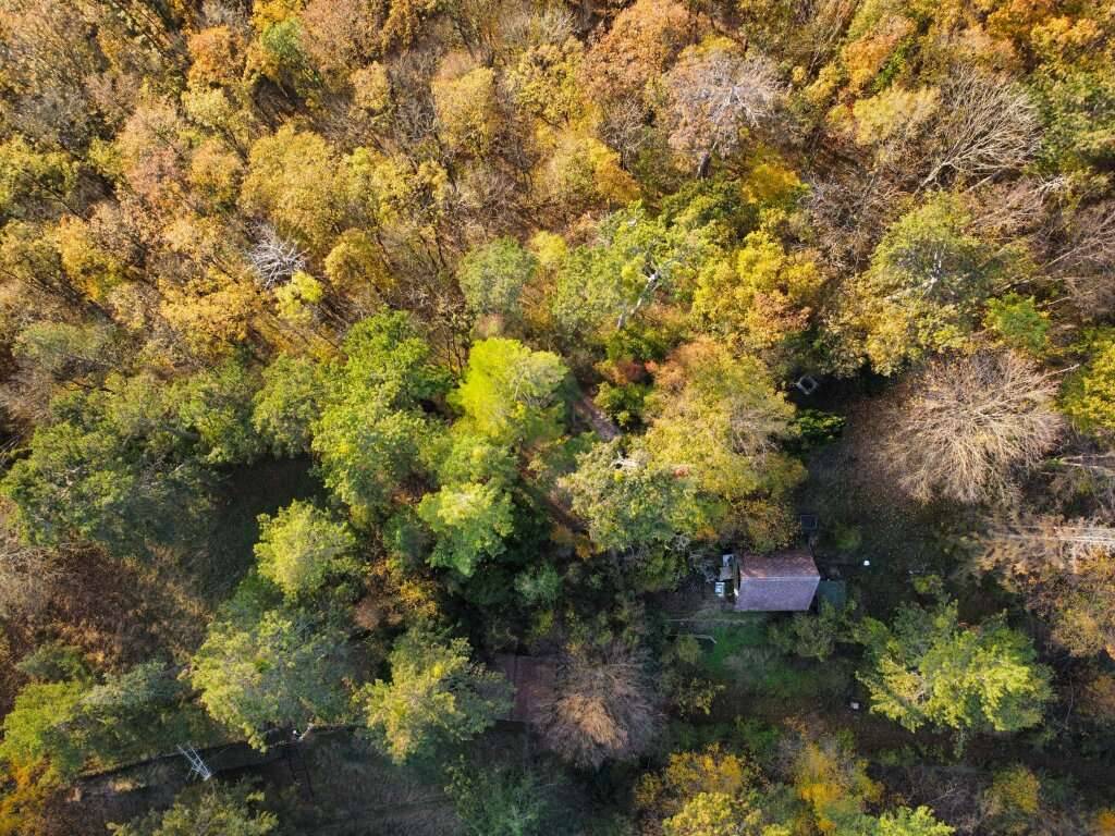 Unglaubliches Erholungsrefugium I Einzigartiges Jagdhäuschen auf Eigengrund nächst Lainzer Tiergarten! - Ansicht 2
