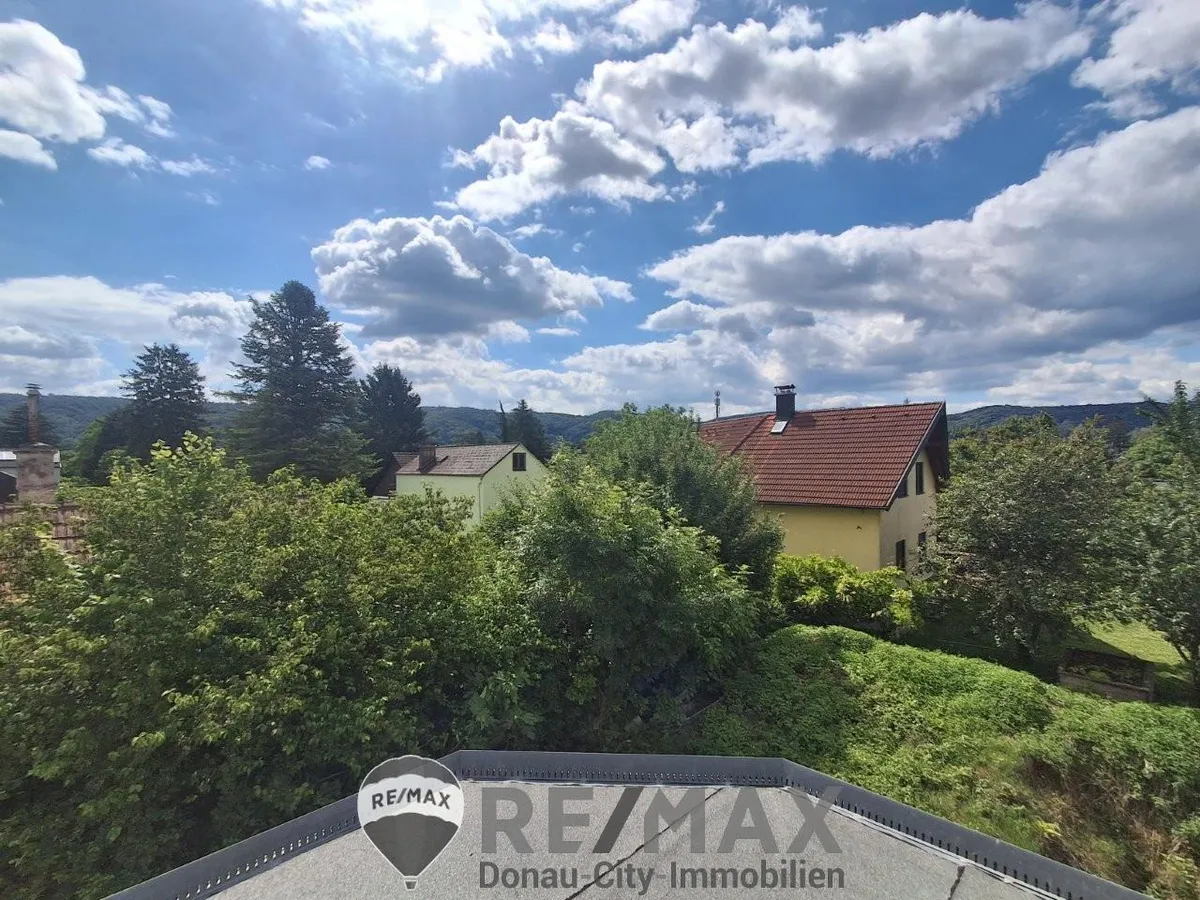"Rohdiamant - Haus und Garten zum Fertigstellen" - Widok 2