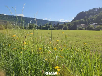 Grundstück kaufen in Spittal an der Drau – 4 949 m², € 1.350.000 – Bild 5 von 8