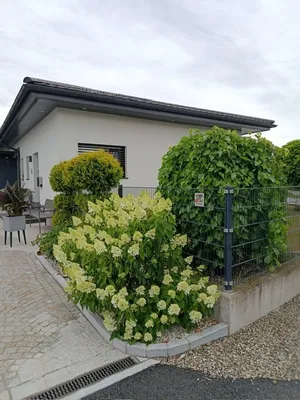 Gewerbeimmobilie kaufen in Braunau am Inn – 249 m², € 1.160.000 – Bild 13 von 28