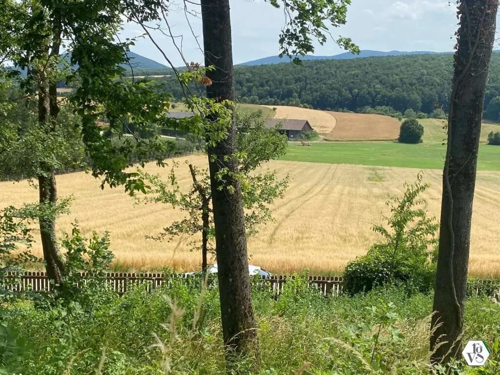 Traumhaftes Grundstück mit unverbaubarem Fernblick in Siegenfeld bei Baden - Ansicht 3