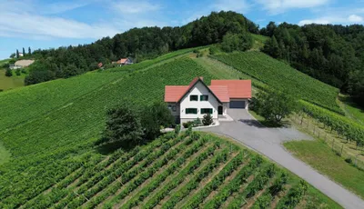 Haus kaufen in Leibnitz – 220 m², € 1.350.000 – Bild 3 von 10