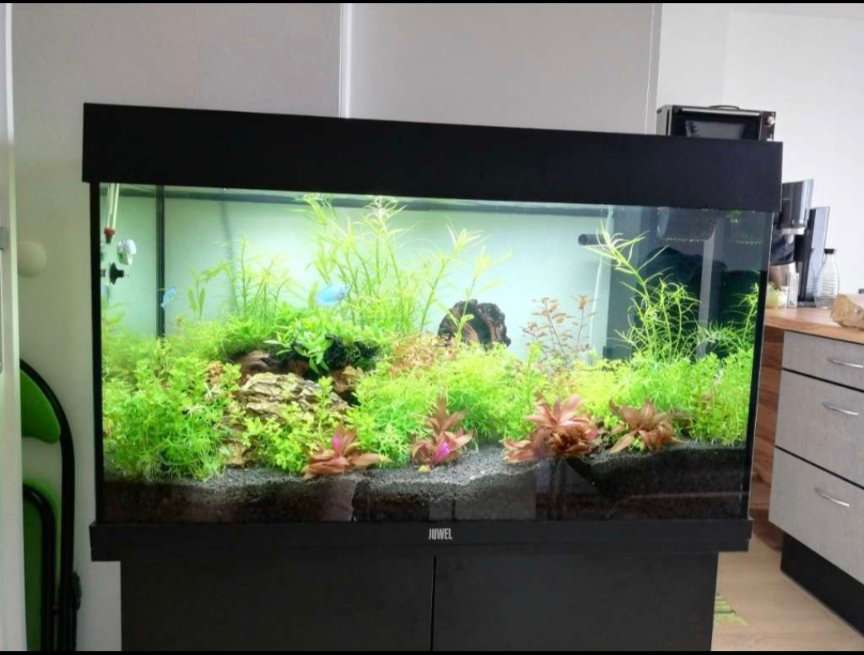 Aquarium 125l hot Komplettset