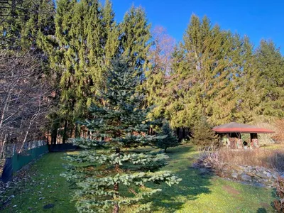 Grundstück kaufen in Graz – 340 m², € 38.000 – Bild 2 von 5