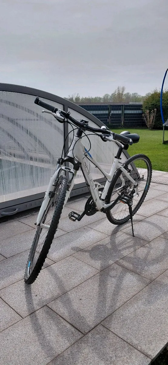 herren fahrrad kaufen Gazelle Furore Herren Citybike 28 Zoll 7-Gang Rcktritt kaufen  Der  Hollnder Fahrradgeschft