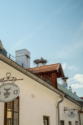 4-Zimmer-Haus kaufen in Rust (Stadt) – 92,59 m², € 690.000 – Bild 37 von 41