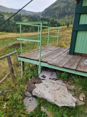 2-Zimmer-Wohnung mieten in Murtal – 25 m², € 182 – Bild 5 von 5
