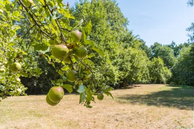 2-Zimmer-Haus kaufen in Oberwart – 89,81 m², € 630.000 – Bild 11 von 46