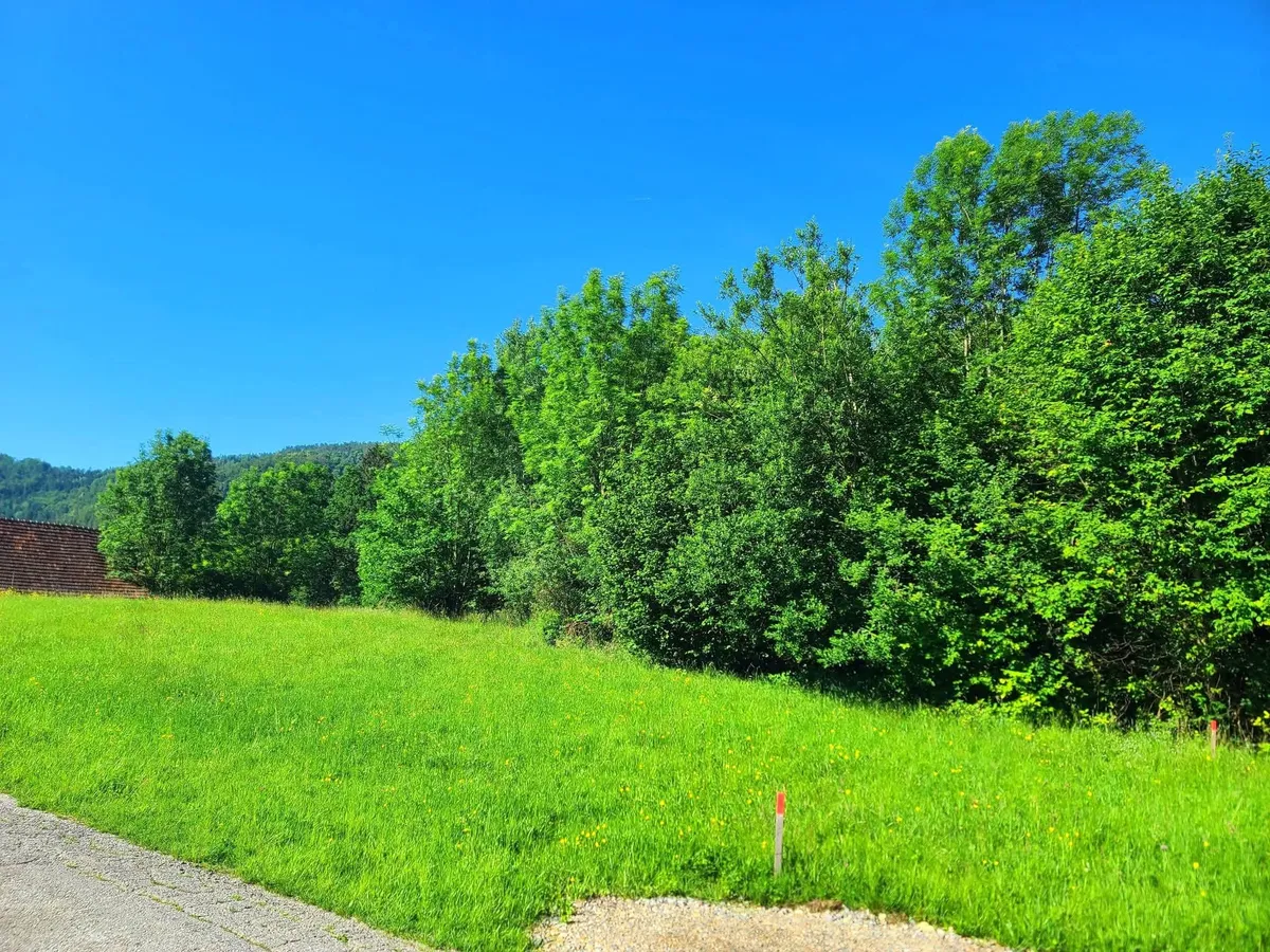 Sonnenlage am Waldrand, Schöcklblick, aufgeschlossen & frei von Servituten - Ansicht 2