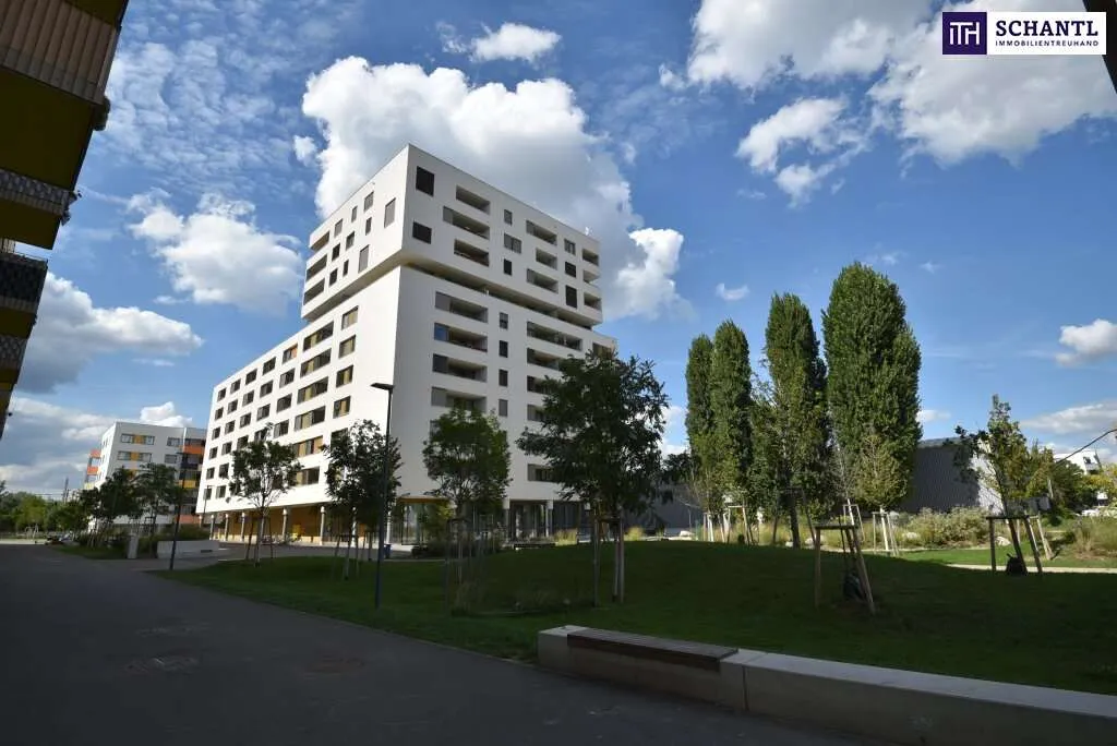 Wohnung – Wien - Ansicht 3