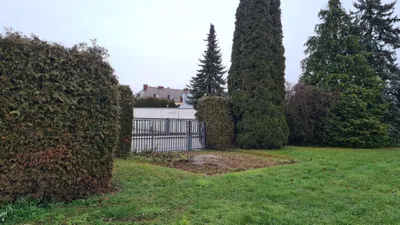 Gewerbeimmobilie mieten in Wels – 560 m², € 5.000 – Bild 41 von 60