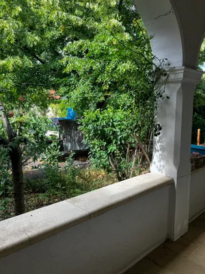 Wohnung mieten in Mattersburg – 66 m², € 600 – Bild 7 von 7
