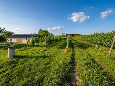 Grundstück kaufen in Krems Land – 125 m², € 79.950 – Bild 8 von 9